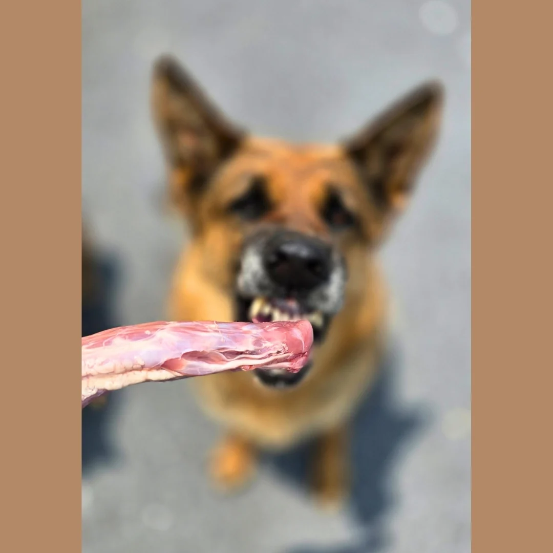 Duck Necks - Image 3