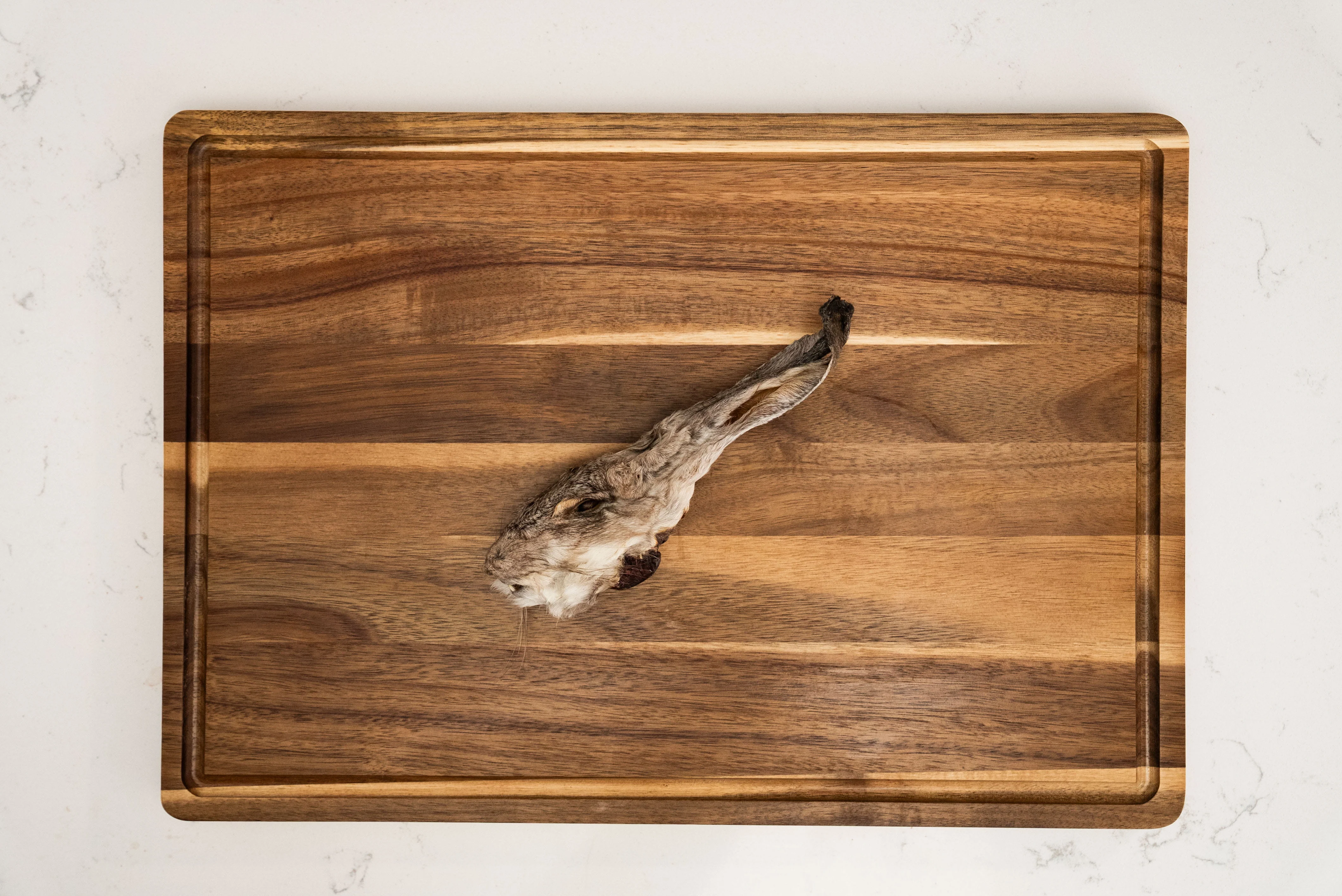 Dehydrated Rabbit Heads - Image 3
