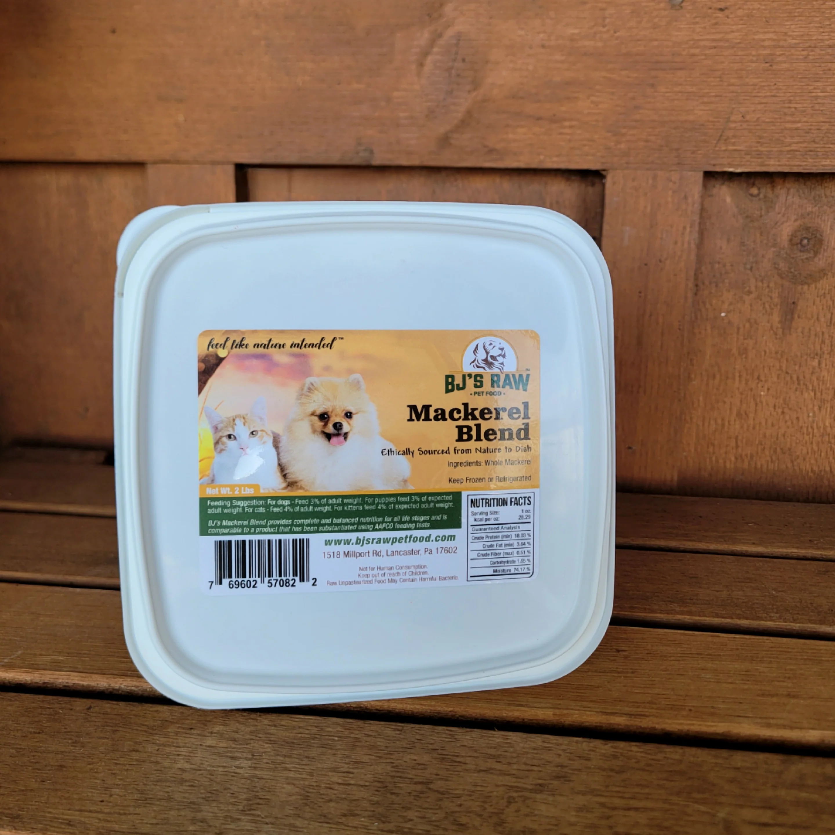 New Releases for Cats