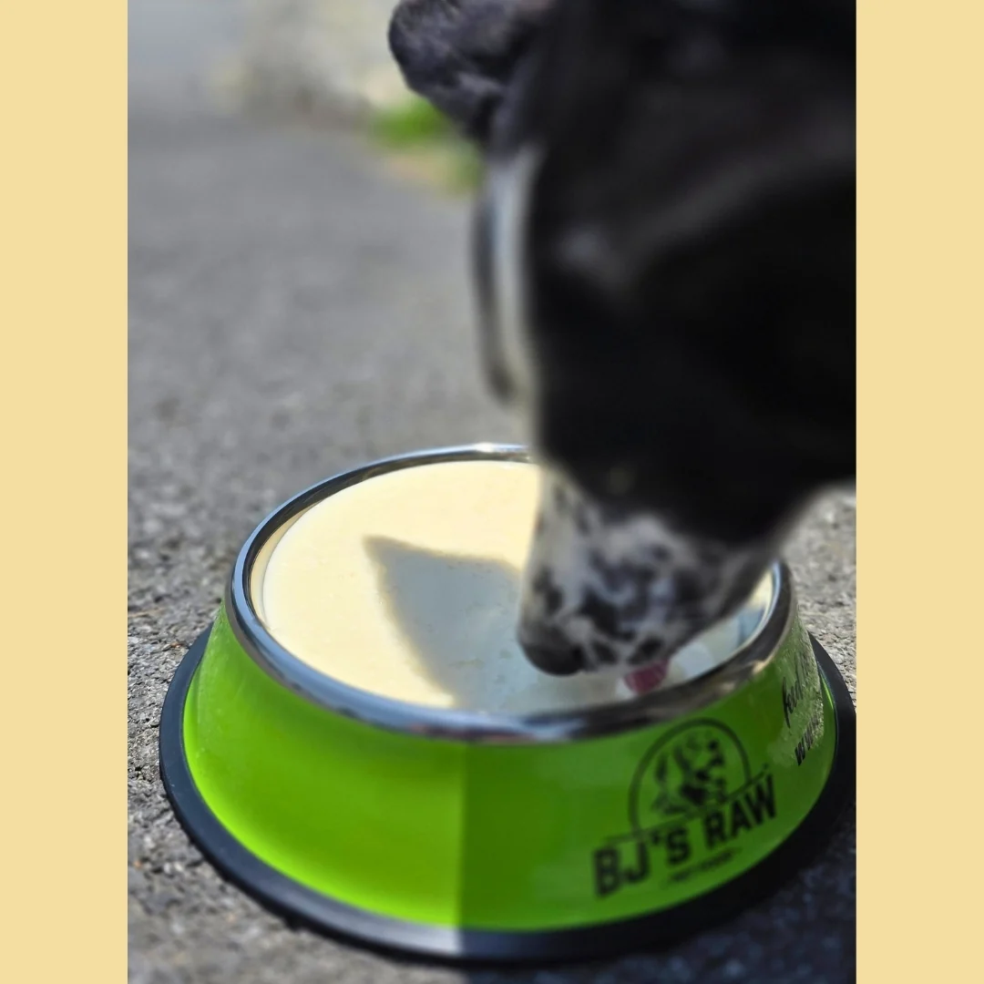Blueberry, Strawberry & Protein+ <br> Raw Goat Milk - Image 10