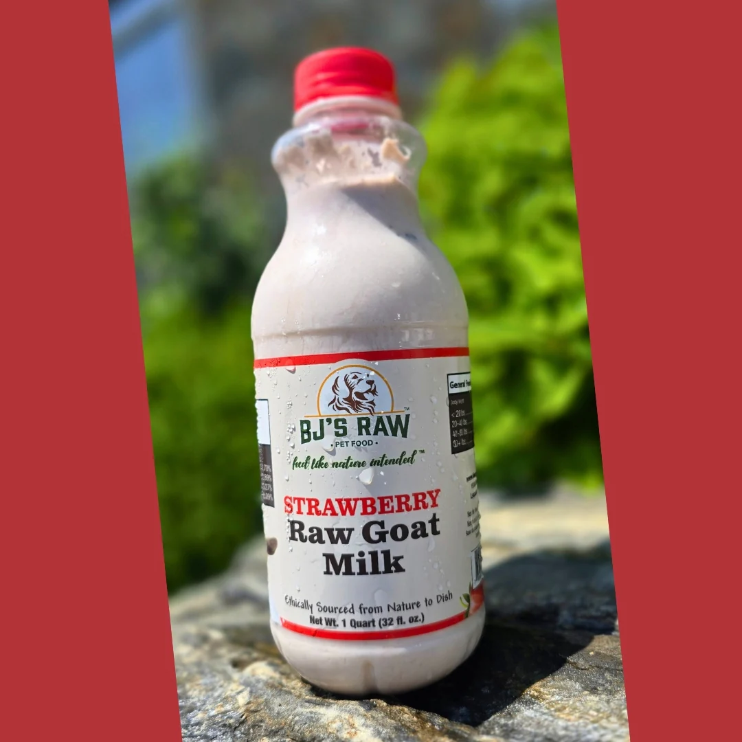Blueberry, Strawberry & Protein+ <br> Raw Goat Milk - Image 4