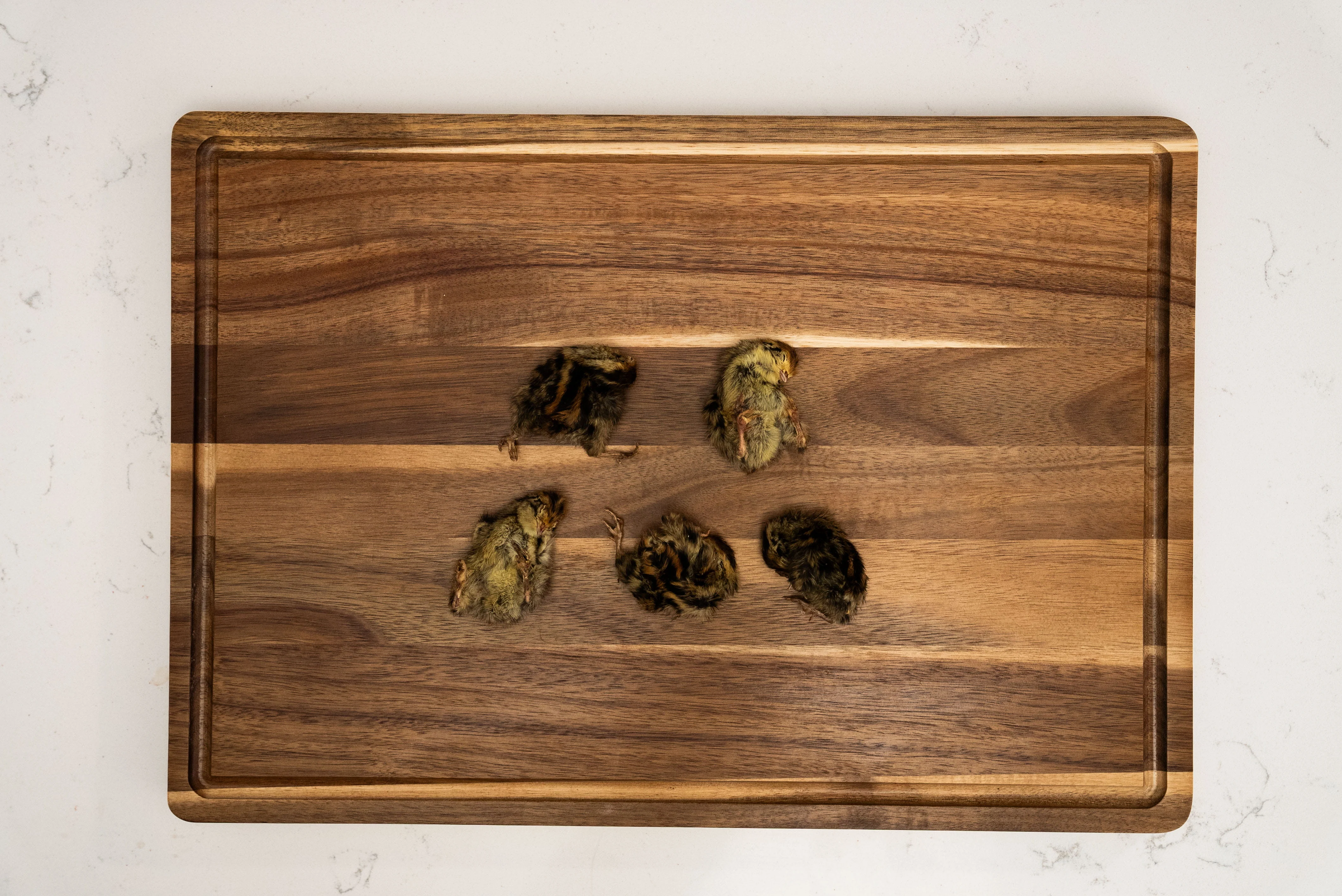 Whole Prey Quail - Image 4